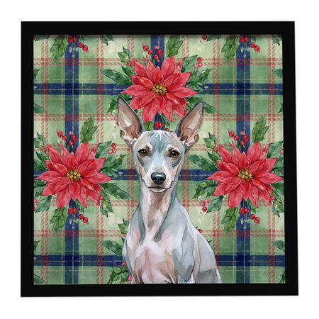 American Hairless Terrier Christmas Poinsettia Wall Art