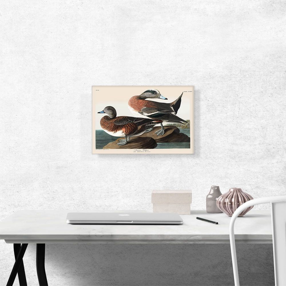Premium Canvas Art for Timeless Decor