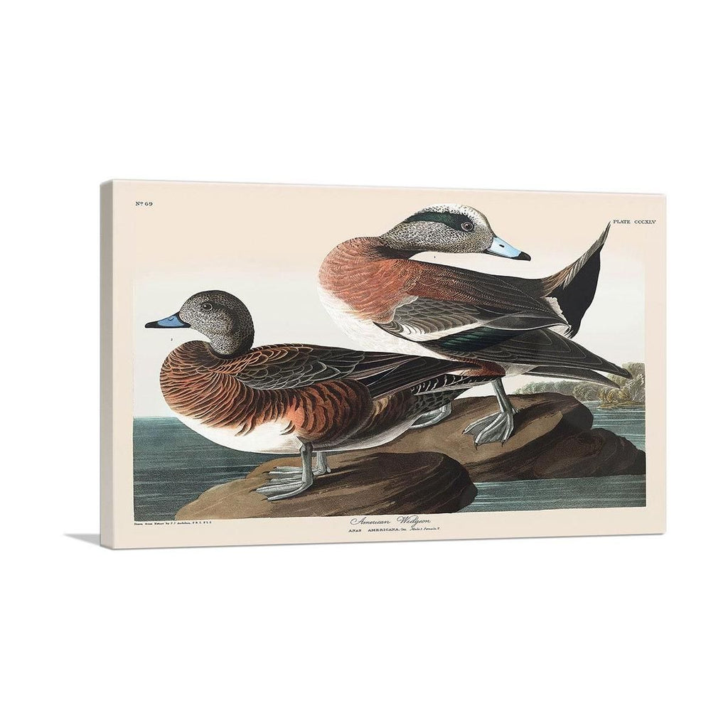 Premium Canvas Art for Timeless Decor - 24" x 16" / 60cm x 40cm (approx) / Standard Framed Canvas Print