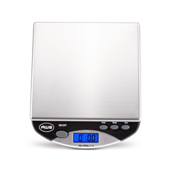 Compact Digital Bench Scale with Large Stainless Steel Platform and High-Precision Sensors