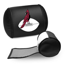 Arizona Cardinals Classic Zipchair Logo Panel