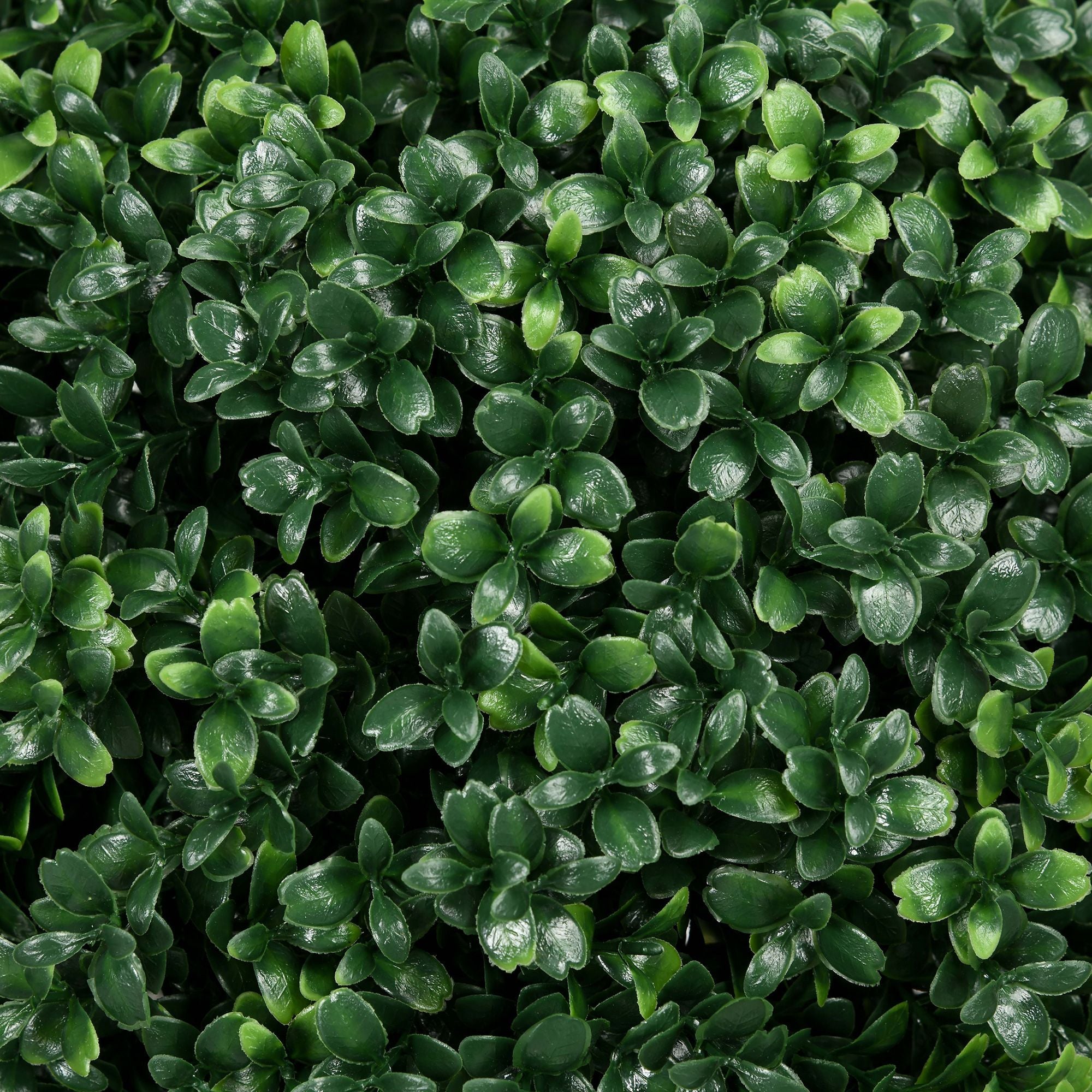 Set of 2 Artificial Boxwood Topiary Trees with Ground Stakes – Realistic & Maintenance-Free