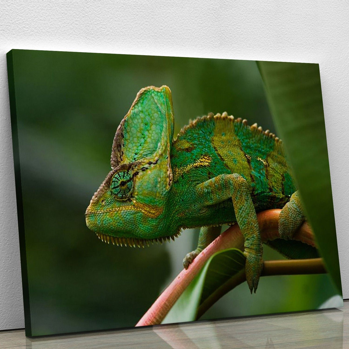 Green Jemen Chameleon Wall Art