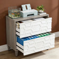 Two-Drawer File Cabinet for Home Office Organization