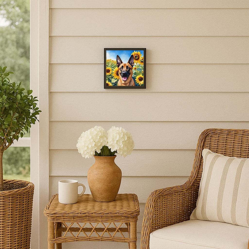 Belgian Malinois in Sunflowers Framed Wall Art