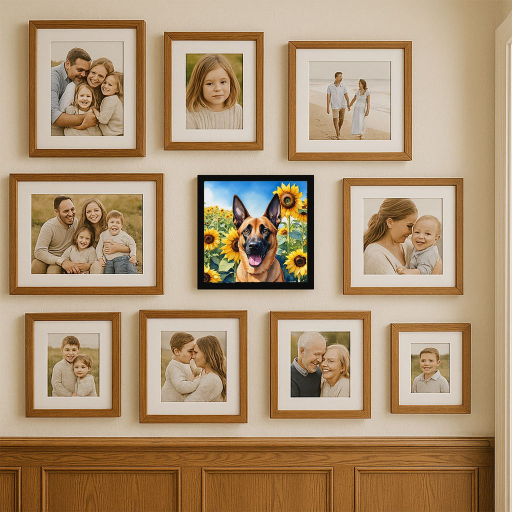 Belgian Malinois in Sunflowers Framed Wall Art