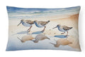 Sandpipers Decorative Throw Pillow