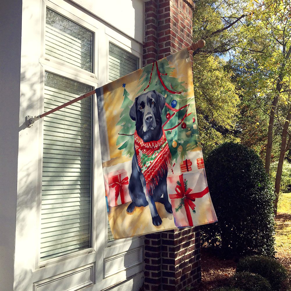 Large Double-Sided Polyester House Flag for Porch or Yard