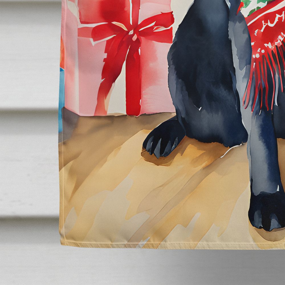 Large Double-Sided Polyester House Flag for Porch or Yard