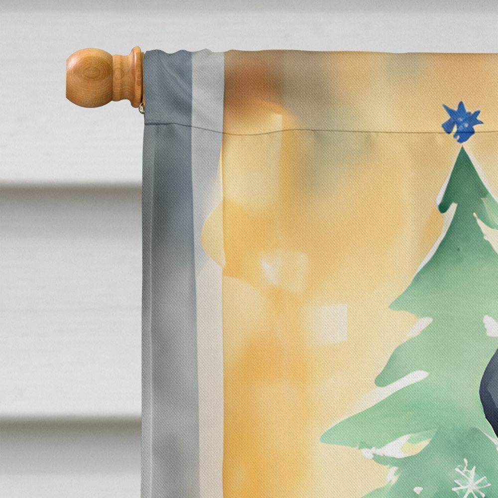 Large Double-Sided Polyester House Flag for Porch or Yard