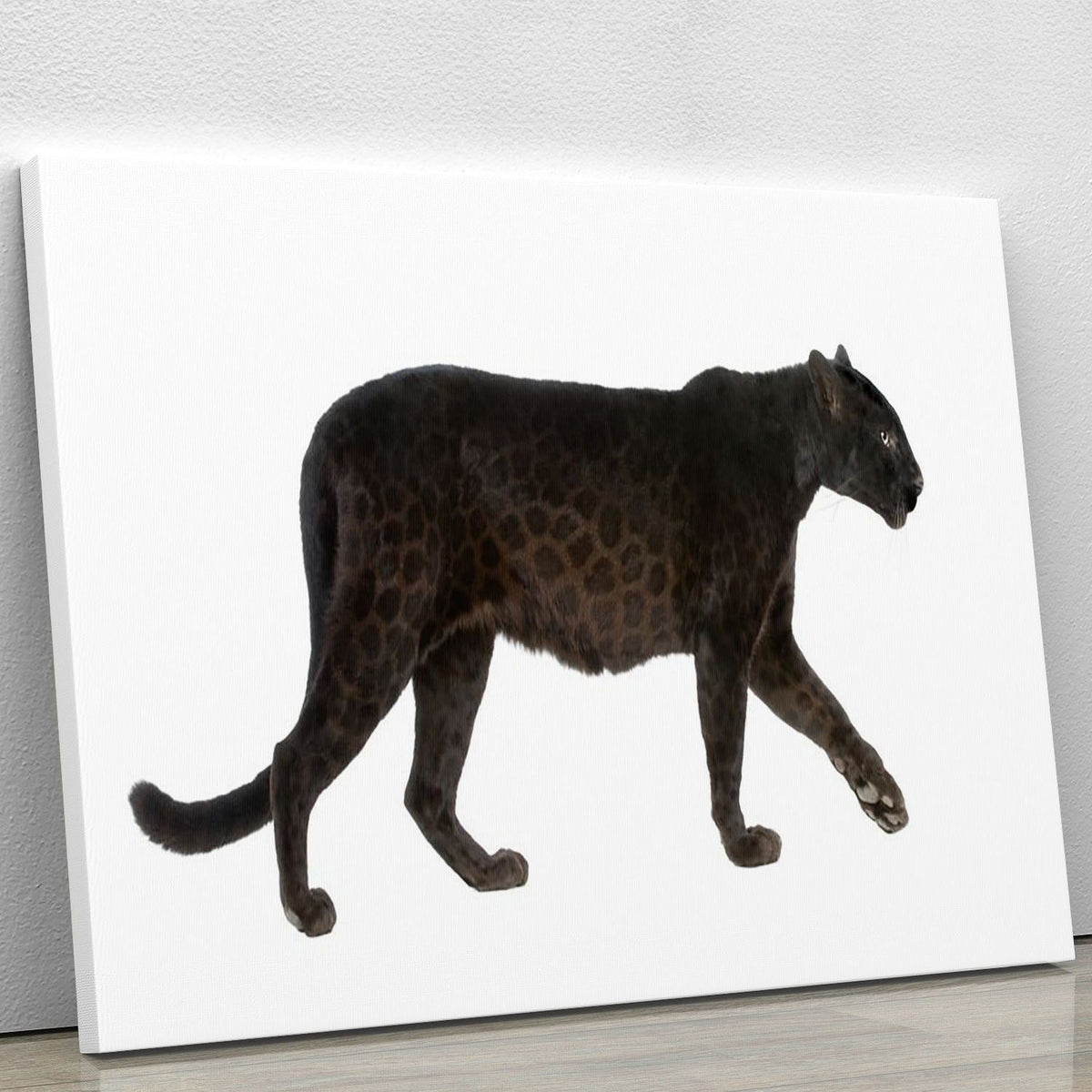 Black Leopard Wildlife Wall Art