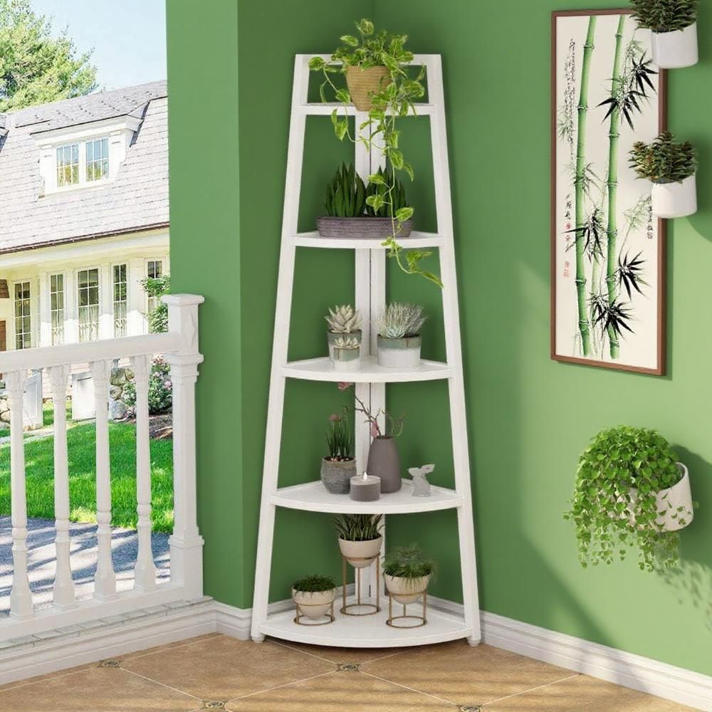 Bookshelf for Home Organization