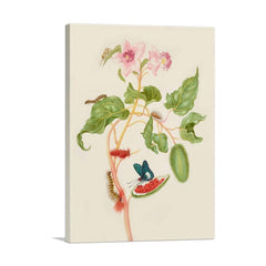 Branch of Achiote with Firetip Butterfly 1702 Wall Art