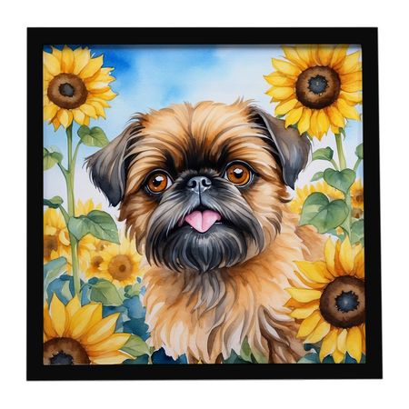 Brussels Griffon in Sunflowers Framed Wall Art