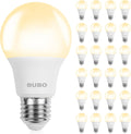 Soft White A19 LED Bulbs for Everyday Rooms