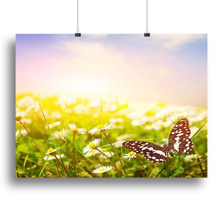 Butterfly Over a Daisy Field Wall Art