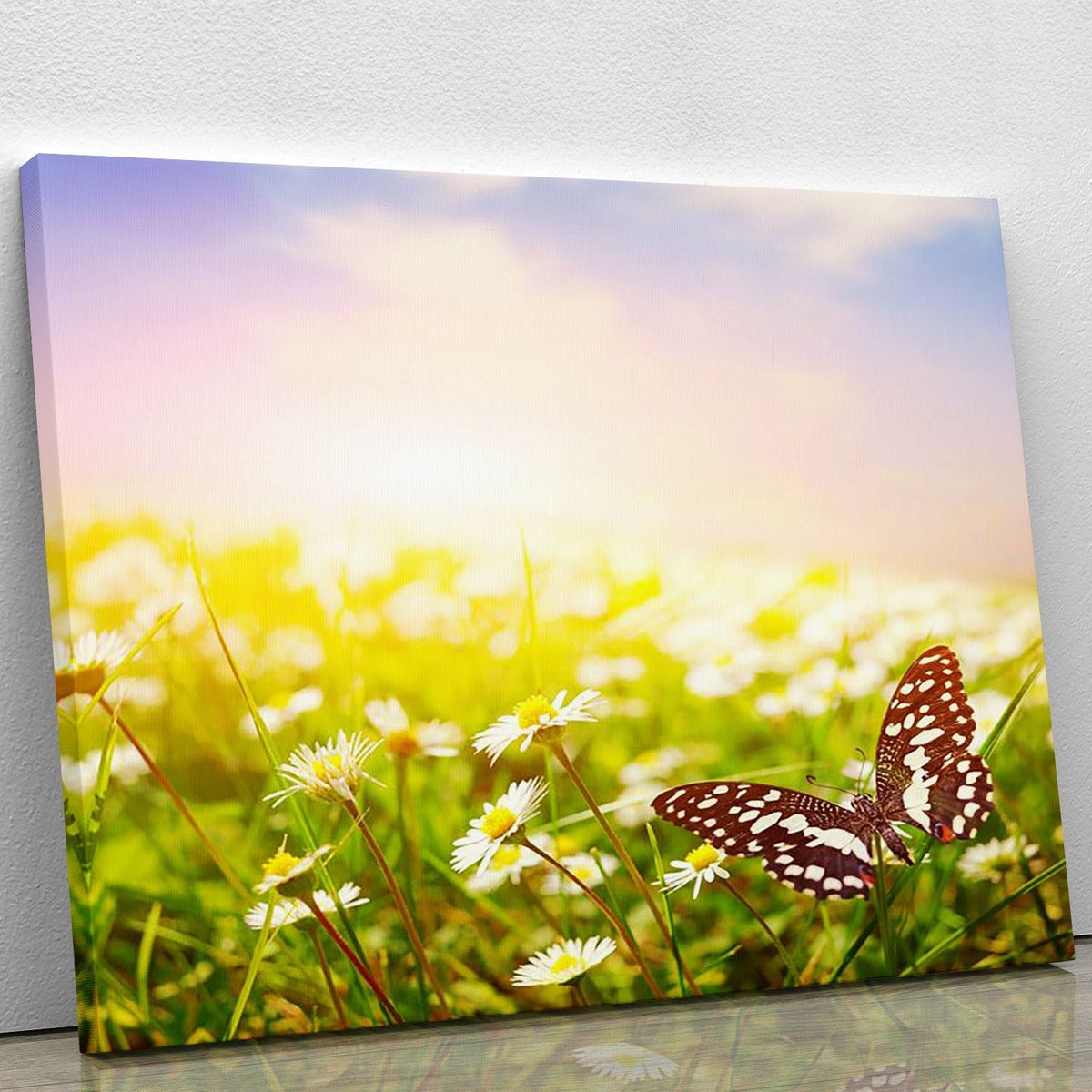 Butterfly Over a Daisy Field Wall Art