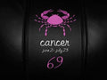 Cancer Pink Embroidered Zipchair Logo Panel