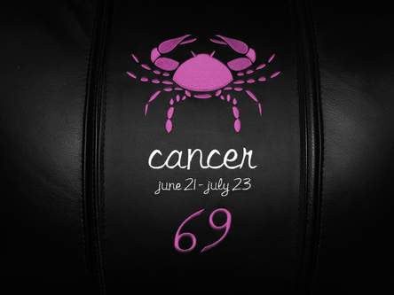 Cancer Pink Embroidered Zipchair Logo Panel
