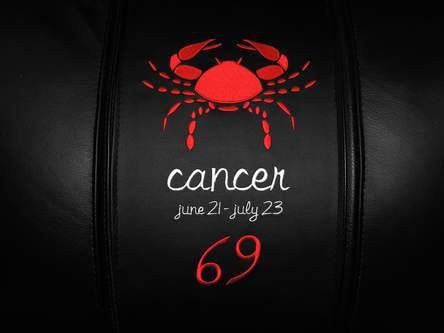 Cancer Red Interchangeable Zipchair Logo Panel