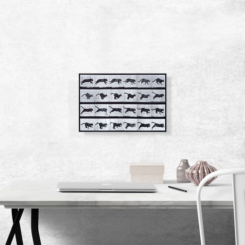 Cat Running Canvas Art for Home or Office