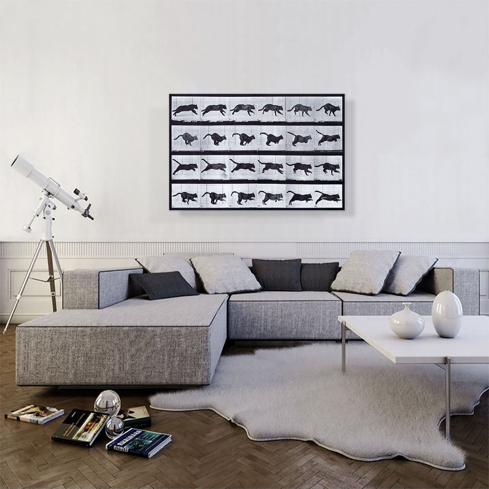 Cat Running Canvas Art for Home or Office