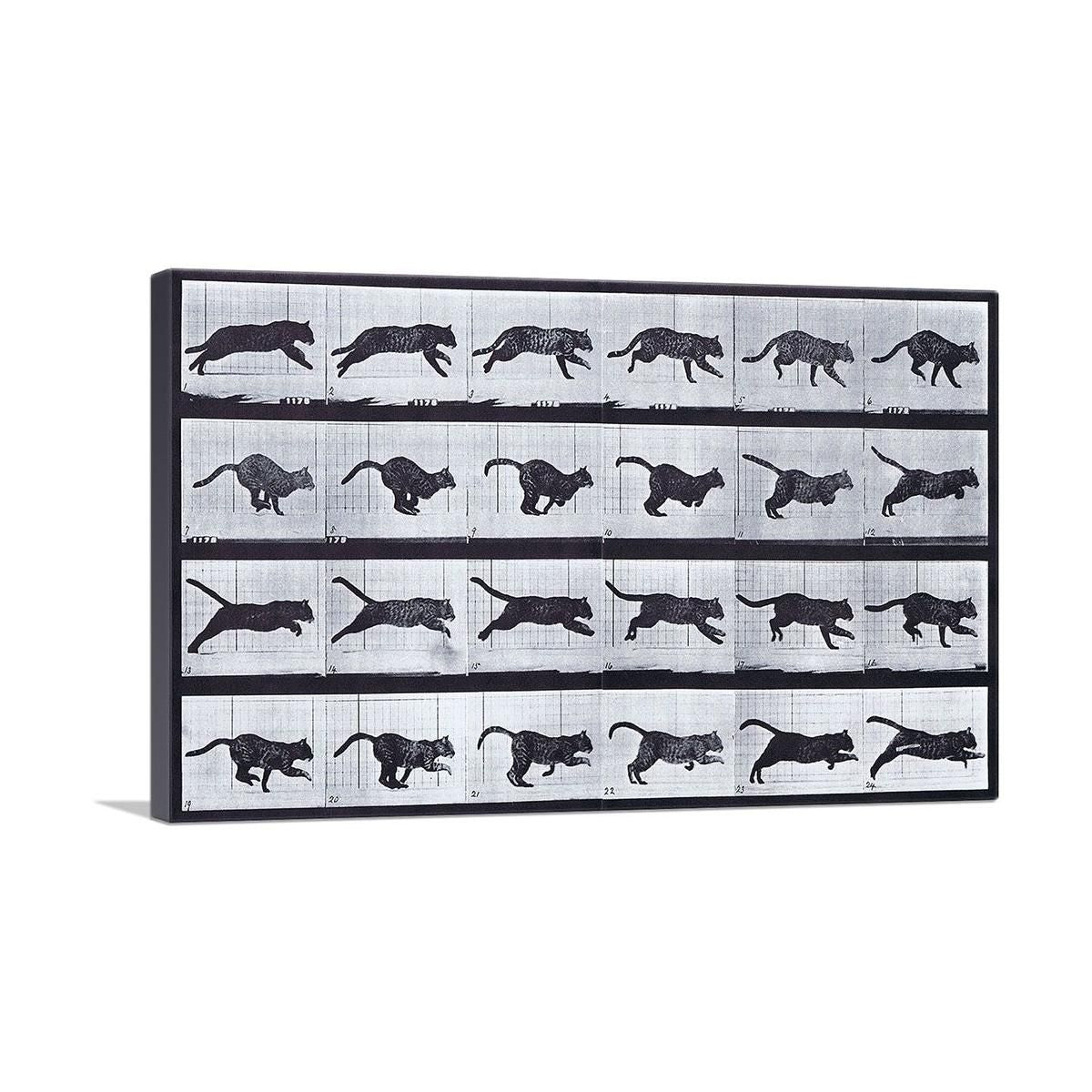 Cat Running Canvas Art for Home or Office