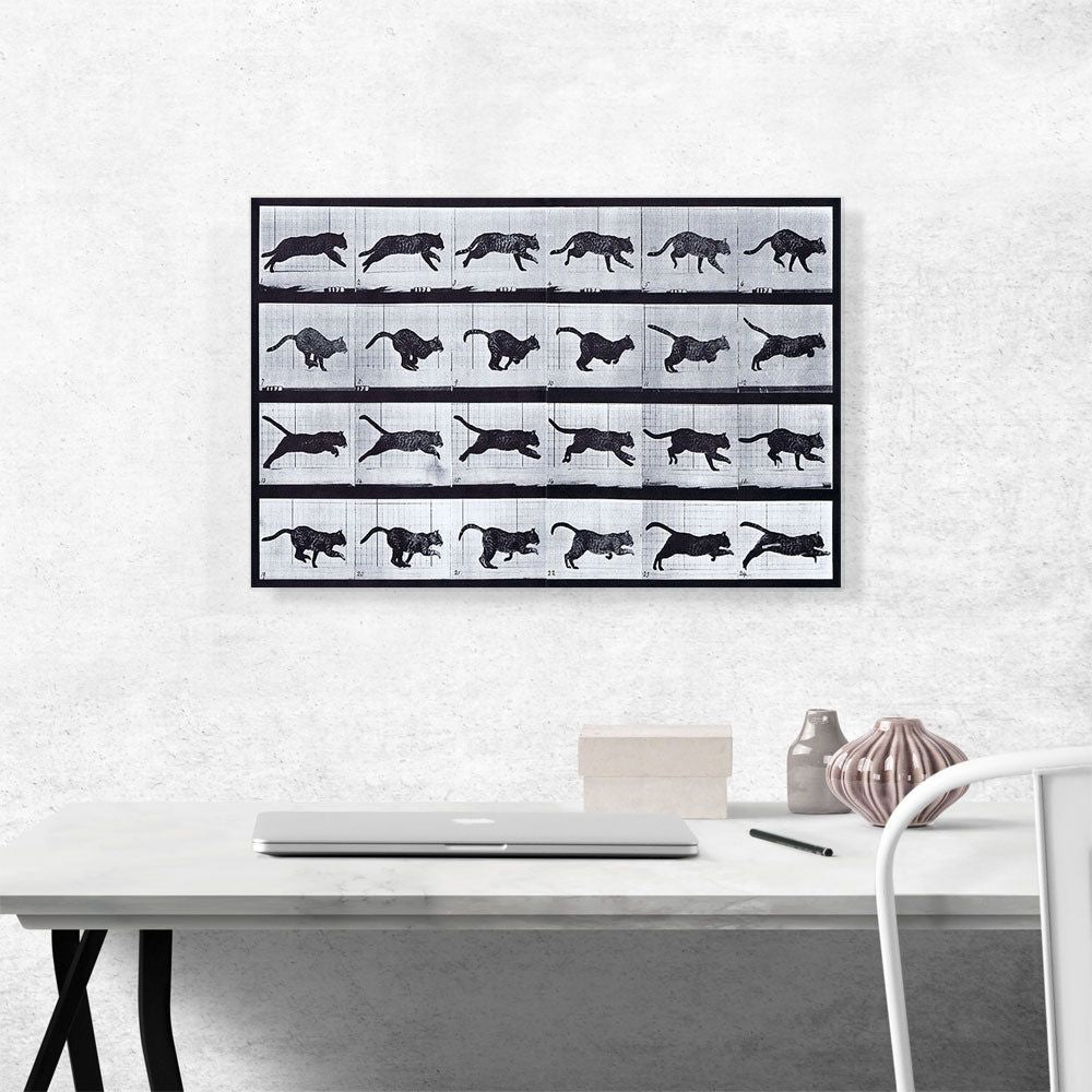 Cat Running Canvas Art for Home or Office