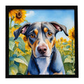 Catahoula in Sunflowers Framed Wall Art