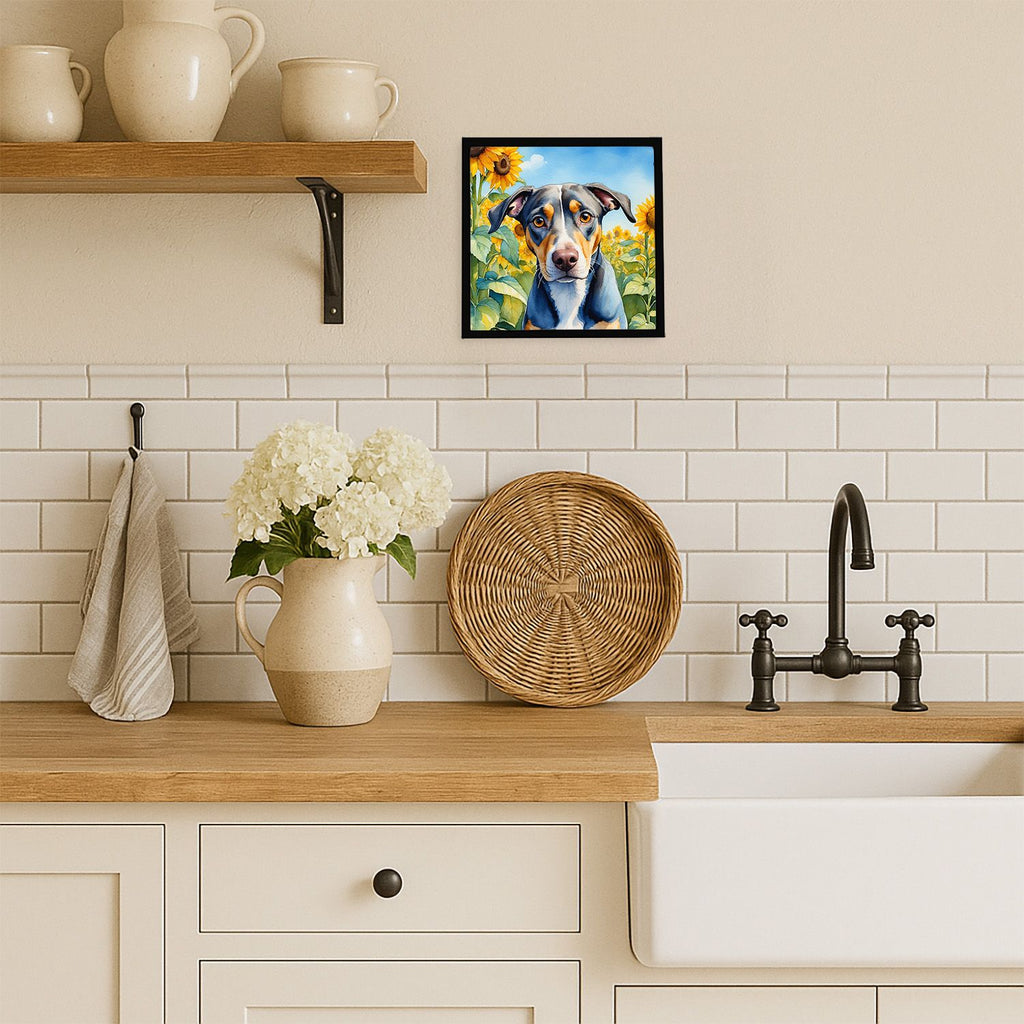 Catahoula in Sunflowers Framed Wall Art