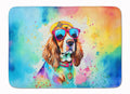 Memory Foam Kitchen Mat with Non-Skid Backing – Soft Microfiber Surface