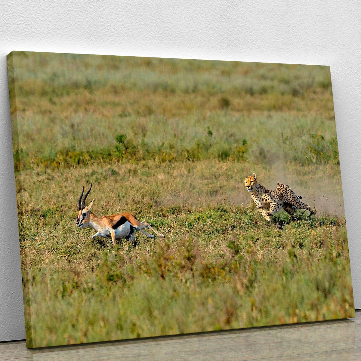 Cheetah Hunting Wildlife Wall Art