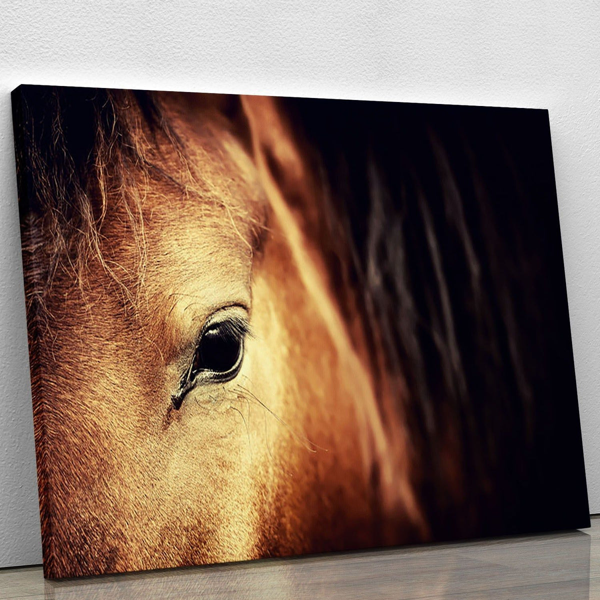 Arabian Bay Horse Eye Wall Art