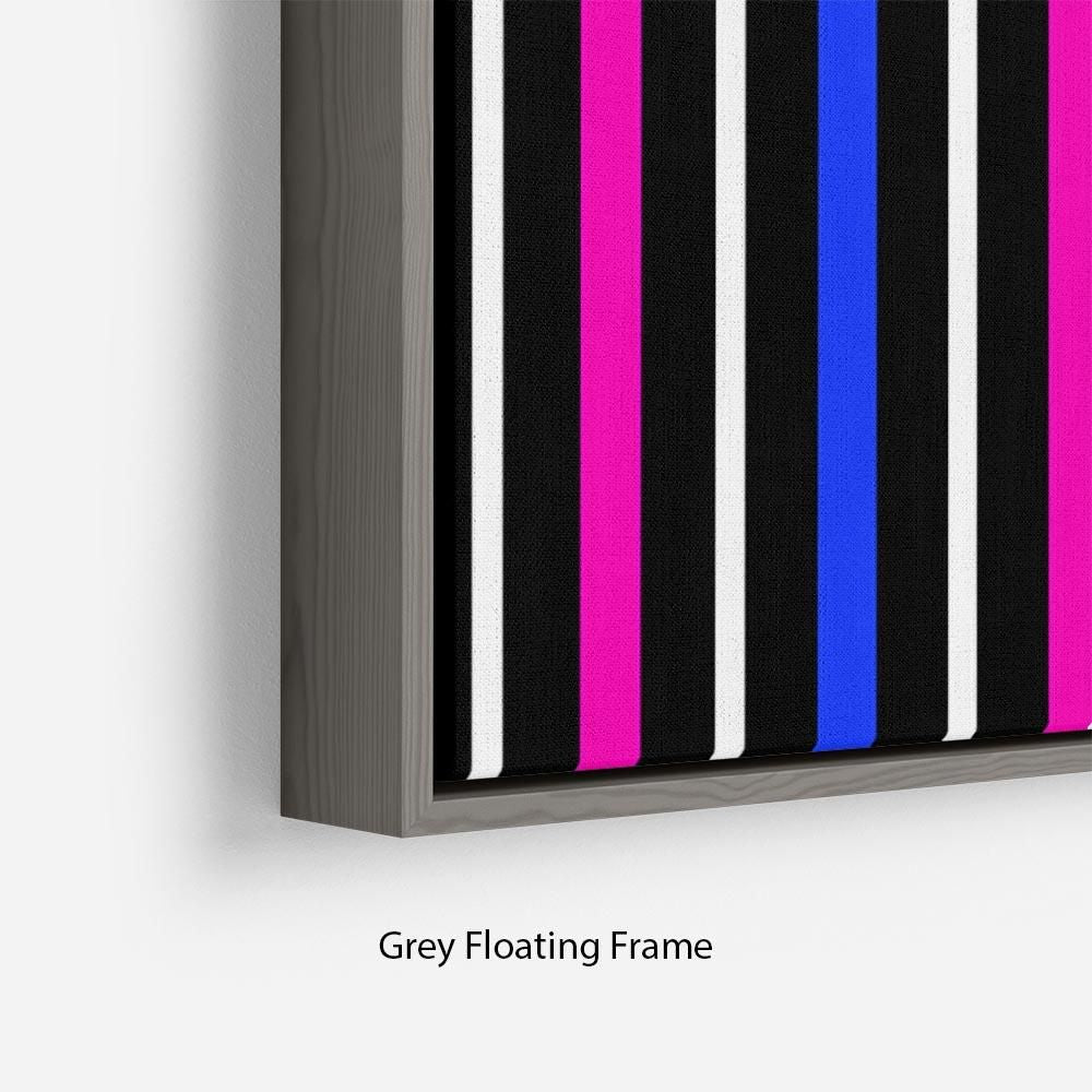 Colour Stripes FS3 Floating-Frame Wall Art
