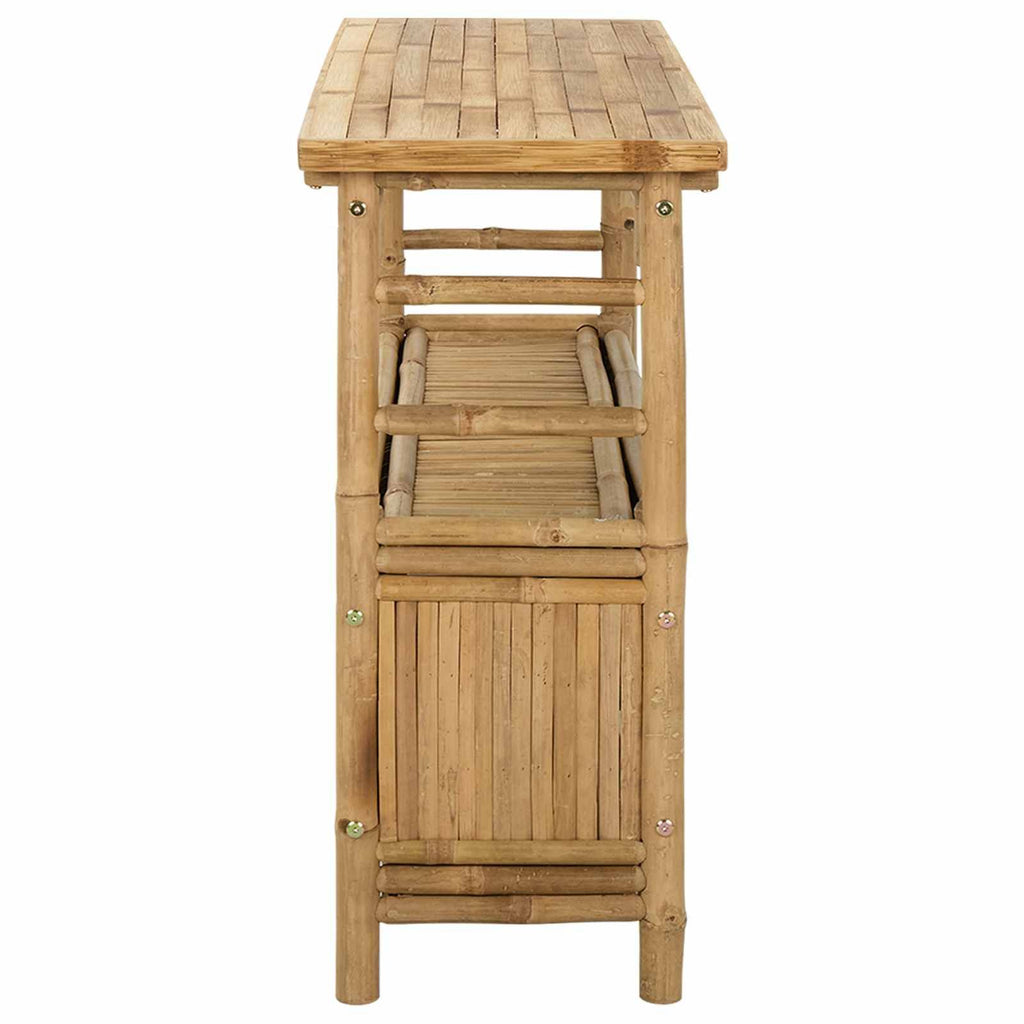 Natural Modern Console Table with Door and Shelves