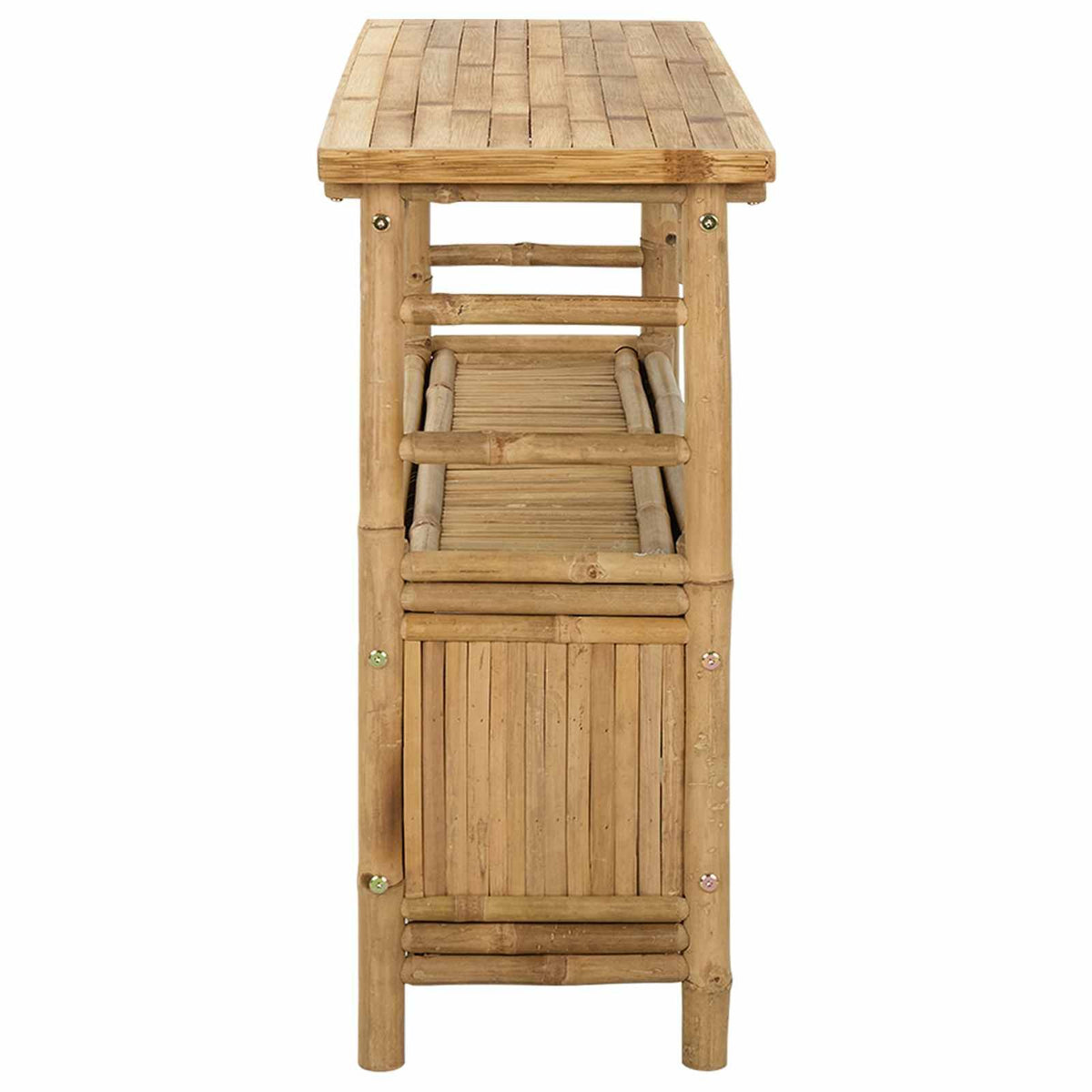 Natural Modern Console Table with Door and Shelves