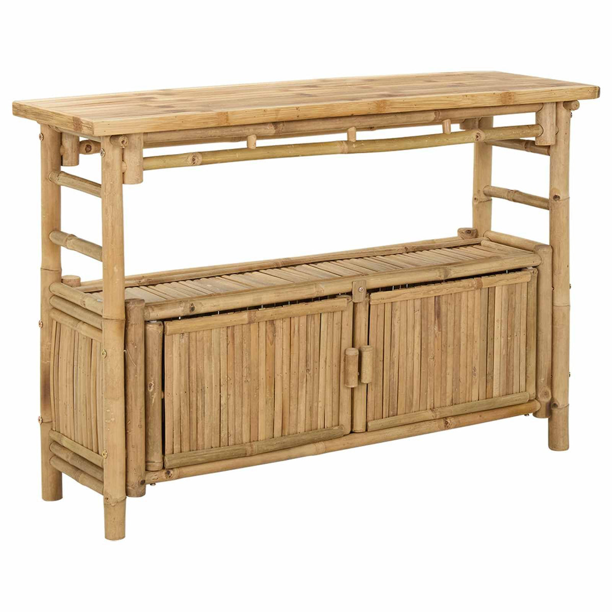 Natural Modern Console Table with Door and Shelves