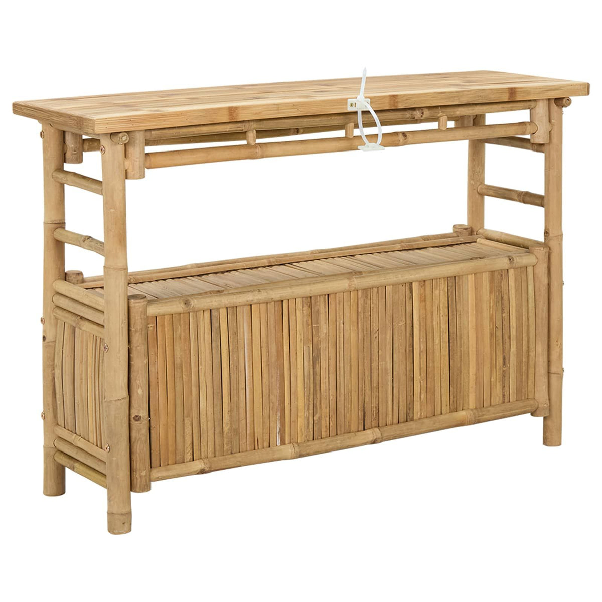 Natural Modern Console Table with Door and Shelves