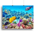 Corals and Tropical Fish Wall Art