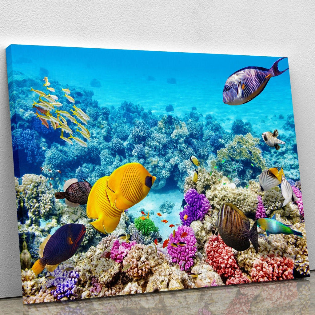 Corals and Tropical Fish Wall Art