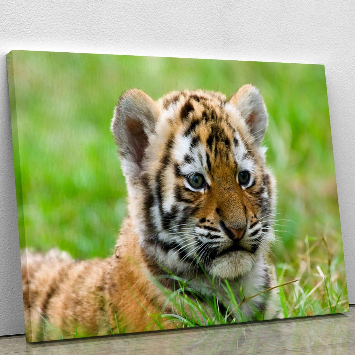 Cute Siberian Tiger Cub Wall Art