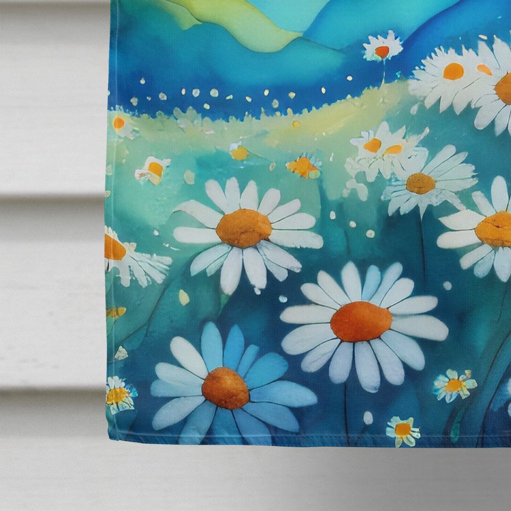 Large Double-Sided Daisies House Flag for Porch or Yard –