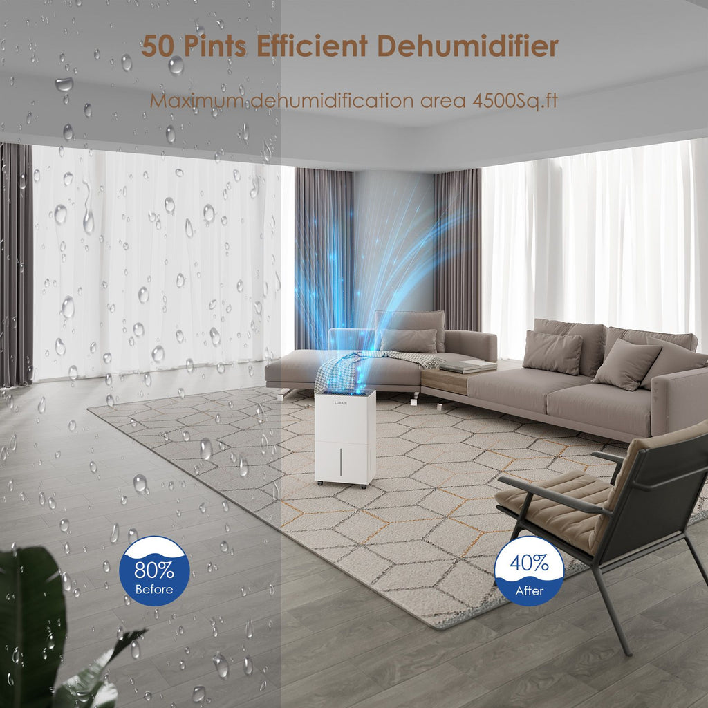 Compact Dehumidifier with Digital Touch Controls