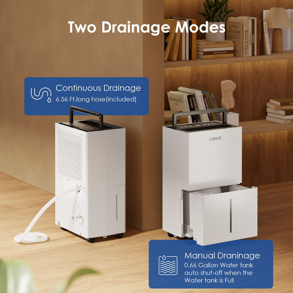 Compact Dehumidifier with Digital Touch Controls