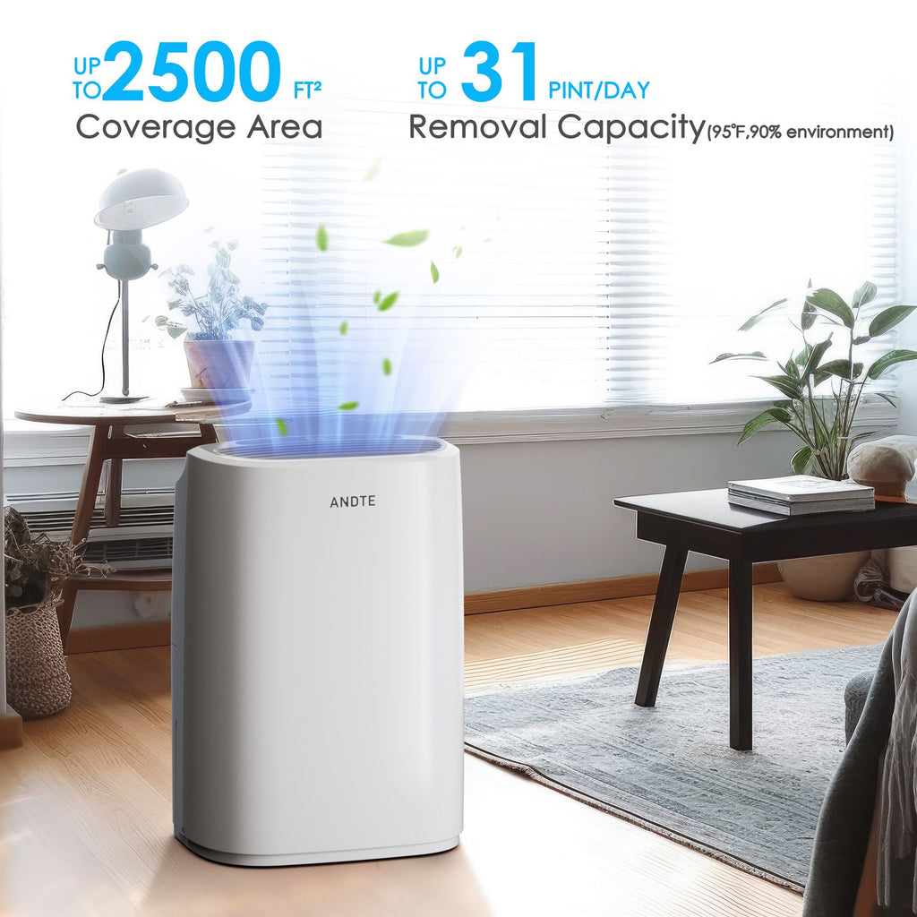 Portable Dehumidifier with Touch Controls