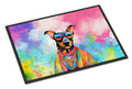 Stylish and everyday Indoor Outdoor Doormat with Weather Resistant Features