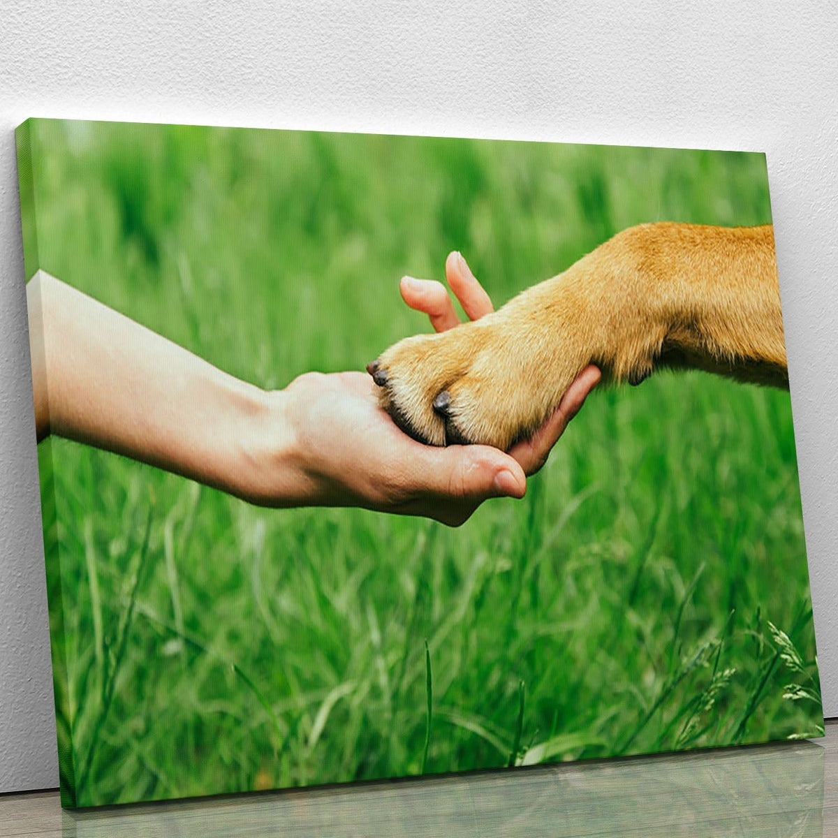 Dog Paw and Human Hand Handshake Wall Art