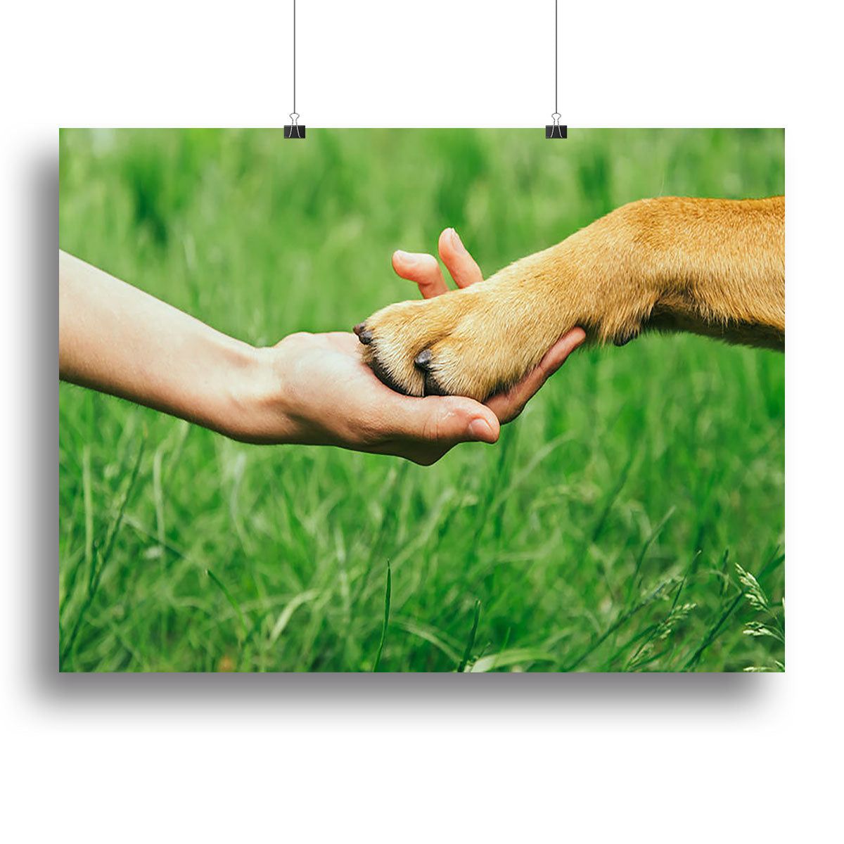 Dog Paw and Human Hand Handshake Wall Art