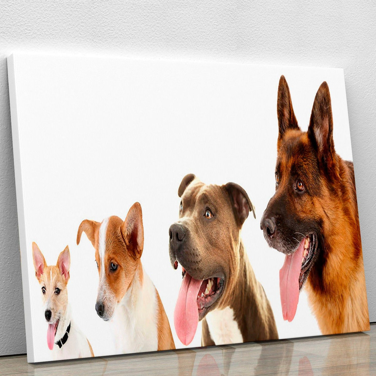 Dogs in a Row on White Wall Art