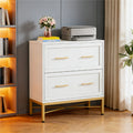 Chic 2-Drawer Filing Cabinet with Gold Legs